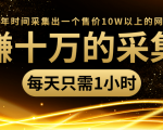 年赚十万的采集站，每天却只需要1小时，一年时间采集出一个售价10W以上的网站-第一资源库