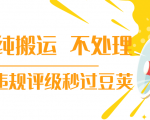 抖音纯搬运 不处理 小技巧，30秒发一个作品，避免违规评级秒过豆荚-第一资源库