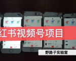 野路子小红书视频号1.0项目，直接上手操作就能赚钱的视频号项目-第一资源库
