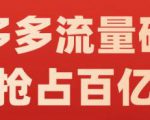 阿杰·拼多多流量破局:如何打黑标，爆款的思路，拼多多流量框架，快速抢占百亿流量-第一资源库