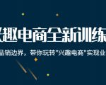 兴趣电商全新训练营：打破品销边界，带你玩转“兴趣电商“实现业务增长-第一资源库