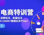 美团电商特训营：美团·店群玩法，无脑铺货月产出6000-15000+精细化月产2w+-第一资源库
