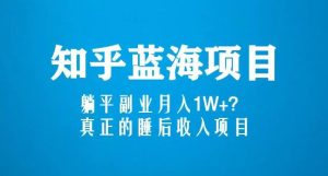 知乎蓝海玩法，躺平副业月入1W+，真正的睡后收入项目（6节视频课）-第一资源库