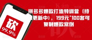 拼多多爆款打造特训营(持续更新中),199元*100套可复制爆款案例-第一资源库