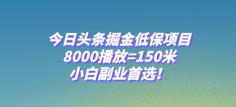 今日头条掘金低保项目，8000播放=150米，小白副业首选【揭秘】-第一资源库