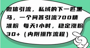 怎么搞精准创业粉？微信新赛道，每天一小时，利用Ai一个问答日引100精准粉-第一资源库