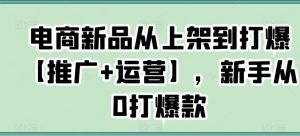 电商新品从上架到打爆【推广+运营】，新手从0打爆款-第一资源库