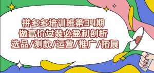 拼多多培训班第34期：做高价女装必盈利剖析选品/测款/运营/推广/拓展-第一资源库