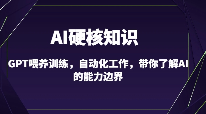 AI硬核知识-GPT喂养训练，自动化工作，带你了解AI的能力边界（10节课）-第一资源库