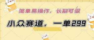 小众赛道，一单299.简单易操作，长期可做【揭秘】-第一资源库