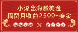 小说出海赚美金，稿费月收益2500+美金，仅需chatgpt粘贴复制，新手也能玩转【揭秘】-第一资源库