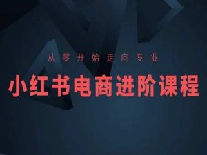 从零开始走向专业，小红书电商进阶课程-第一资源库