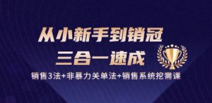 从小新手到销冠 三合一速成:销售3法+非暴力关单法+销售系统挖需课 (27节)-第一资源库
