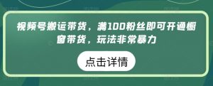 视频号搬运带货，满100粉丝即可开通橱窗带货，玩法非常暴力【揭秘】-第一资源库