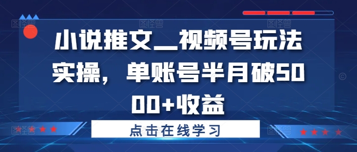 小说推文—视频号玩法实操，单账号半月破5000+收益-第一资源库