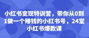 小红书变现特训营,带你从0到1做一个赚钱的小红书号,24堂小红书爆款课-第一资源库