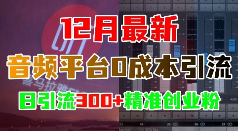 12月最新:音频平台0成本引流,日引流300+精准创业粉-第一资源库
