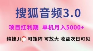 搜狐音频挂ji3.0.可矩阵可放大，独家技术，稳定月入5000+【揭秘】-第一资源库