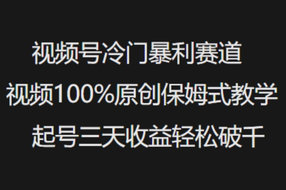 视频号冷门暴利赛道视频100%原创保姆式教学起号三天收益轻松破千-第一资源库