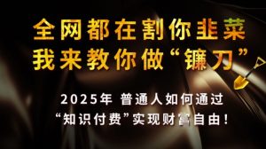 全网都在割你韭菜，我来教你做镰刀，2025普通人如何通过知识付费，实现财F自由【揭秘】-第一资源库