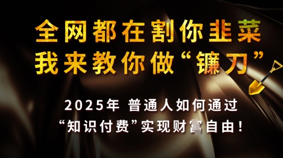 全网都在割你韭菜，我来教你做镰刀，2025普通人如何通过知识付费，实现财F自由【揭秘】-第一资源库