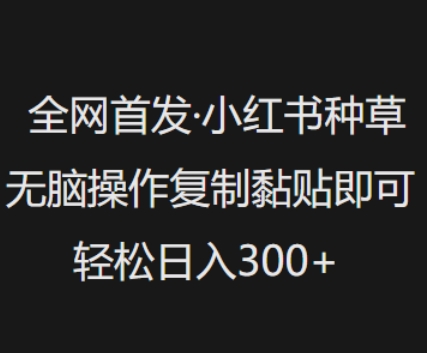 全网首发，小红书种草无脑操作，复制黏贴即可，轻松日入3张-第一资源库