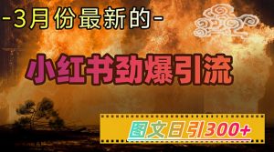 小红书超劲爆引流手段，图文日引300+轻松变现1W-第一资源库