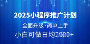 2025小程序推广计划，全面升级，简单上手，日均多张【揭秘】-第一资源库