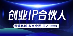 云帆·创业ip合伙人打造3.0,从0到1教你做网创,实现月入过W-第一资源库