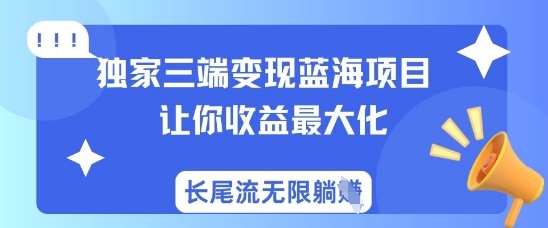 独家三端变现蓝海项目，让你收益最大化，长尾流无限躺挣-第一资源库