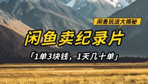 闲鱼卖纪录片1单3块钱，1天几十单，项目稳定有潜力-第一资源库