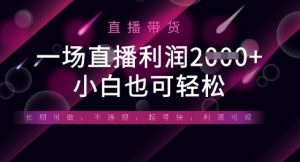 半无人直播带货，一场利润数张，适合所有平台玩法，小白也可轻松-第一资源库