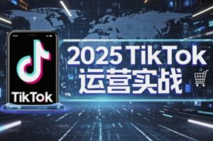 2025TikTok电商运营，掌握TikTok店铺运营核心技巧，实现低成本高转化-第一资源库