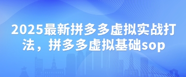 2025最新拼多多虚拟实战打法，拼多多虚拟基础sop-第一资源库