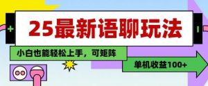 25年最新语聊玩法，纯手工，单机收益100+，小白也能轻松上手，可矩阵操作-第一资源库
