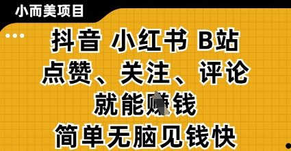 小而美的项目，抖音小红书B站视频点赞、关注、评论就能挣钱，简单无脑立见收益，妥妥的零撸项目【揭秘】-第一资源库