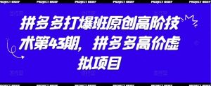 拼多多打爆班原创高阶技术第43期，拼多多高价虚拟项目-第一资源库