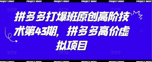 拼多多打爆班原创高阶技术第43期，拼多多高价虚拟项目-第一资源库