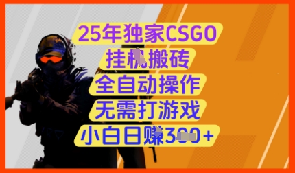 25年独家CSGO挂G搬砖，全自动操作，无需打游戏，小白日入3张+【揭秘】-第一资源库