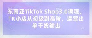 东南亚TikTok Shop3.0课程，TK小店​从初级到高阶，运营出单干货输出-第一资源库