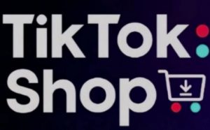 TikTokShop跨境电商0-1实战，手把手教你低成本启动海外市场（更新）-第一资源库