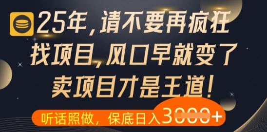 什么？25年你还在疯狂找项目做，醒醒吧，看完这些你全都懂了【揭秘】-第一资源库