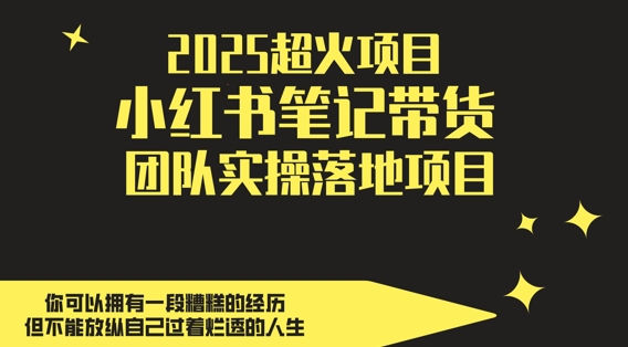 2025超火项目，副业最佳选择，小红书笔记带货团队实操落地项目，，轻松日入5张-第一资源库