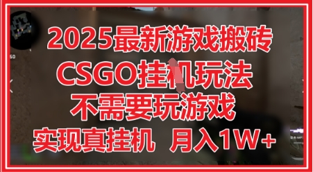2025最新游戏搬砖，CSGO挂G，不需要玩游戏，实现真挂G，月入1W+【揭秘】-第一资源库