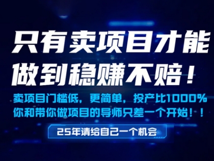 只有卖项目才能做到稳挣不赔，门槛低，更简单，你也可以年入百个W【揭秘】-第一资源库