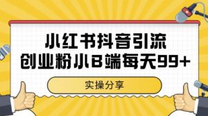 小红书抖音创业粉，小B端粉自热，日引99+的一个玩法【揭秘】-第一资源库