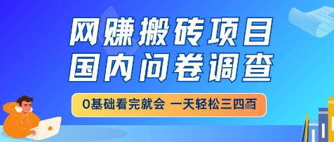 网创搬砖项目，国内问卷调查，小白轻松上手，一天三四张的也不难，干就完了【揭秘】-第一资源库