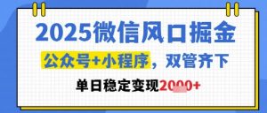 2025微信风口掘金,公众号+小程序双管齐下,单日稳定变现1k+【揭秘】-第一资源库