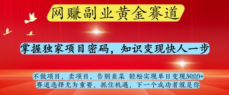 网创副业黄全赛道，掌握独家项目密码，知识变现快人一步，告别韭菜轻松实现单日变现1k+【揭秘】-第一资源库