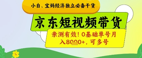 小白宝妈经济独立必备干货，京东短视频带货，亲测有效!0基础单号月入8k+，可多号【揭秘】-第一资源库